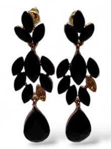 Fashion Earrings